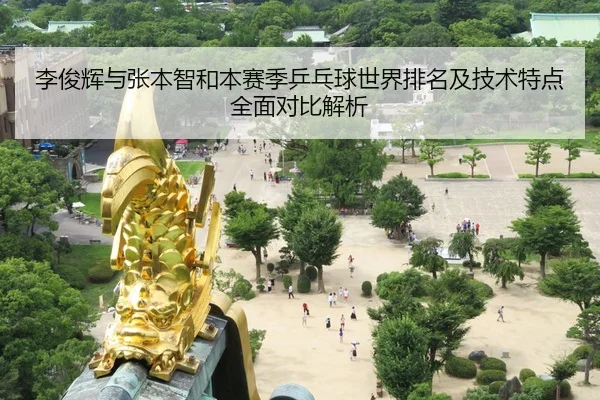 李俊辉与张本智和本赛季乒乓球世界排名及技术特点全面对比解析